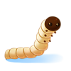 http://www.eldarya.fr/static/img/item/consumable/2b73777ac6d11bb47b897a1e2aeaf017.png