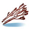//www.eldarya.fr/static/img/item/consumable/f254cd24b4b66b385fa7ee7d50bdcf81~1437659029.png