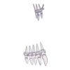 http://www.eldarya.fr/static/img/item/player//icon/9e21d0edf70a204217aab16db73d6687~1476282605.png