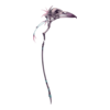 http://www.eldarya.fr/static/img/item/player/icon/0ee91e5d2c92925f730889dc14fc45b8.png