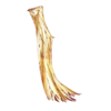 http://www.eldarya.fr/static/img/item/player/icon/0fbdbb44417f311313617a31ac15f6d4.png