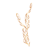V&Atilde;&ordf;tements