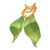 http://www.eldarya.fr/static/img/item/player/icon/252b12815b8c9927b98d14b97b603b08.png