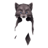 Wolf Druid