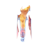 http://www.eldarya.fr/static/img/item/player/icon/2ed6cf920453d077c25b8ffa0d816b8a.png