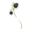 http://www.eldarya.fr/static/img/item/player/icon/3b0e4b5113ce156c282b4e49e19968a5.png