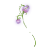 http://www.eldarya.fr/static/img/item/player/icon/4ca6400f39ad615cb4c252c53b84d3ab.png