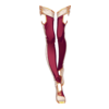 V&Atilde;&ordf;tements