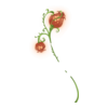 http://www.eldarya.fr/static/img/item/player/icon/7500f82e85d584a1e631b66bec1842f0.png
