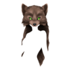 Wolf Druid