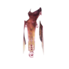 http://www.eldarya.fr/static/img/item/player/icon/929a6253099f63ee07094339180217cc.png