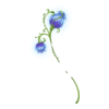 http://www.eldarya.fr/static/img/item/player/icon/93eb32f5014b8f463426b733e03480af.png