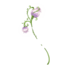 http://www.eldarya.fr/static/img/item/player/icon/9543abaa042590b06aa66b4fafd685c8.png