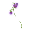 http://www.eldarya.fr/static/img/item/player/icon/b6c04d9f2b06e66da4e70c2fd74cc2c7.png