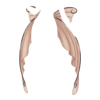 V&Atilde;&ordf;tements
