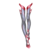 http://www.eldarya.fr/static/img/item/player/icon/da53b12ff2eefcd074a2b3b4418da04f.png