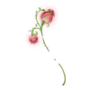 http://www.eldarya.fr/static/img/item/player/icon/e9a1a6a1d3d6c5be975a96b11926f52a.png