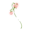 http://www.eldarya.fr/static/img/item/player/icon/eb04760c97b078fd2471b54441355ecb.png