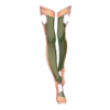 V&Atilde;&ordf;tements