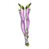http://www.eldarya.fr/static/img/item/player/icon/f26b4e442e3497c1cca75a73358d4049.png