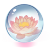 https://www.eldarya.fr/assets/img/item/consumable/1b1ce777df1ab47128f7fd6531a9fb0a~1408535975.png