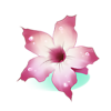 https://www.eldarya.fr/assets/img/item/consumable/34410d904d508fdcc0755c097f1538a3.png