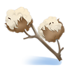 https://www.eldarya.fr/assets/img/item/consumable/635fe0e5b32abd8f43f3ee9f86f54574~1408535987.png
