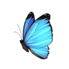 https://www.eldarya.fr/assets/img/item/consumable/8afddf2287fd60ce2650ae8c3905fe8d.png