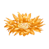 https://www.eldarya.fr/assets/img/item/consumable/c576fd3aa4712463993fbbd104b4c8f1.png