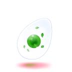 https://www.eldarya.fr/assets/img/item/egg/library/b305c79c278a9e14150e855fb12b7fdd.png