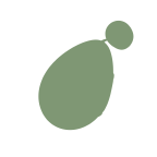 https://www.eldarya.fr/assets/img/item/egg/library/unknown/dd4b0b5b26f406e7f32b6084a005f782.png