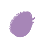 https://www.eldarya.fr/assets/img/item/egg/library/unknown/f03dba0a09929ede964e408cd0cecb70.png