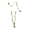 https://www.eldarya.fr/assets/img/item/player//icon/0129539ab8adbf1c9f8632304d746c44~1604512290.png