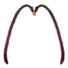 https://www.eldarya.fr/assets/img/item/player//icon/118b8fc18fd86fb41c664a16438520dd~1604513717.png