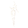 https://www.eldarya.fr/assets/img/item/player//icon/2000e4763966b6cddb369bbeb2a2a082~1686836344.png