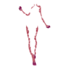 https://www.eldarya.fr/assets/img/item/player//icon/26800668172a0cab9237241b86546938~1604515432.png
