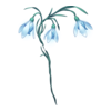 https://www.eldarya.fr/assets/img/item/player//icon/26fa9b1b16753f40e6c35c9080e21fbf~1604515468.png