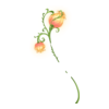 https://www.eldarya.fr/assets/img/item/player//icon/4053c38f1937a896195f9e590bdc79b3~1604517699.png
