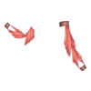 https://www.eldarya.fr/assets/img/item/player//icon/4d43a5f72d530e738d59aa8e4904e02b~1604518838.png
