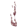 https://www.eldarya.fr/assets/img/item/player//icon/5dd993e0341362b7668cc7c7145f4c9d~1604520343.png