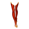 https://www.eldarya.fr/assets/img/item/player//icon/647195d3d16da30c475fdc2fa4489ae9~1604520941.png