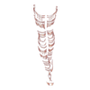 https://www.eldarya.fr/assets/img/item/player//icon/6ef814e6a07fa6dbb66567a8306332b0~1604521935.png