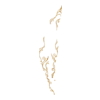 https://www.eldarya.fr/assets/img/item/player//icon/802cd925878d59c2e5e71007661cb1f7~1604523457.png