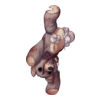 https://www.eldarya.fr/assets/img/item/player//icon/8991541ccdf171e6553c68c16abe4bbb~1598603413.png