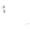 https://www.eldarya.fr/assets/img/item/player//icon/8abff730bd07a057003d4cad253b2c86~1686836760.png