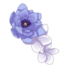 https://www.eldarya.fr/assets/img/item/player//icon/8cc910dca10feb968bab1a191a50e7fe~1604524457.png