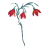 https://www.eldarya.fr/assets/img/item/player//icon/940ad53bd9f4916265a91aa806ea8bdb~1604525070.png