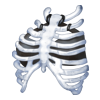 https://www.eldarya.fr/assets/img/item/player//icon/afa96091093475ed9e0038cee146ef90~1658479561.png