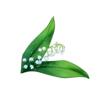 https://www.eldarya.fr/assets/img/item/player//icon/b85c2add4c04f0ced272d639e0c1b094~1604528180.png