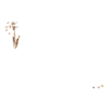 https://www.eldarya.fr/assets/img/item/player//icon/bf2684999b2361b6a529fd75aa69101e~1686836762.png